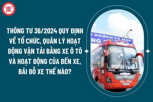 Thông Tư 36/2024